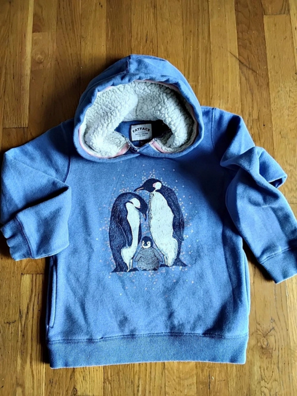 Fat Face Kids Penguin Hoodie in Blue